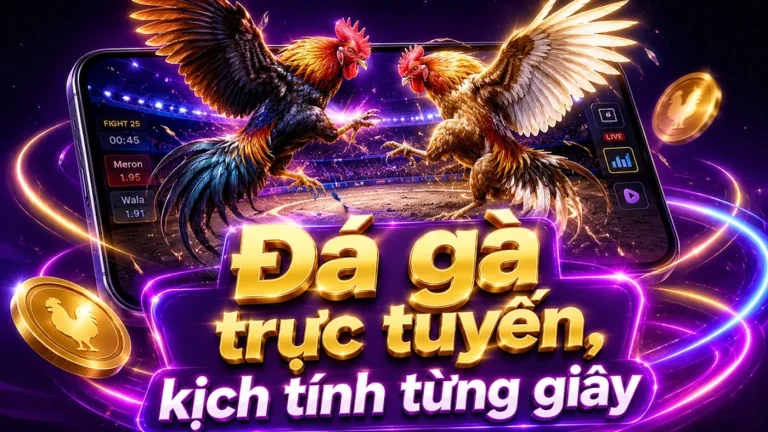 KE789 – Tổng Quan Về Tài Khoản: Phạm Vi Thông Tin Và Cách Bắt Đầu Tra Cứu – KE789