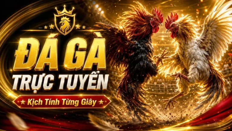 KE789 – Cách Đối Chiếu Nguồn, Thời Điểm Cập Nhật Và Giới Hạn Của Mục Về KE789 – KE789